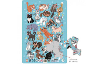 Пазл з рамкою "Коти" (53 елементи) R300180 DoDo