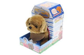 Інтерактивна собака "Toy Poddle" в коробці L0549
