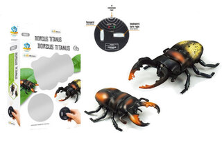 Жук "Dorcus Titanus" на радіокеруванні в коробці 9996E-F р.17,5*6*27см