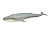 Морські тварини Q9899-581 гум.4в.кор.35*13*5,5