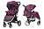 Коляска прогулянкова CARRELLO Unico CRL-8507 Lilac Purple + дощовик L