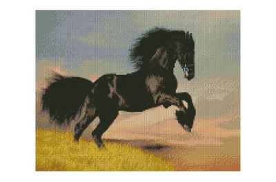 Алмазна картина FA10024 «Вороний кінь», розміром 40х50 см